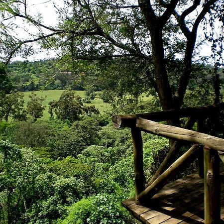 Kigongoni Lodge Arusha Nkoanrua Zewnętrze zdjęcie