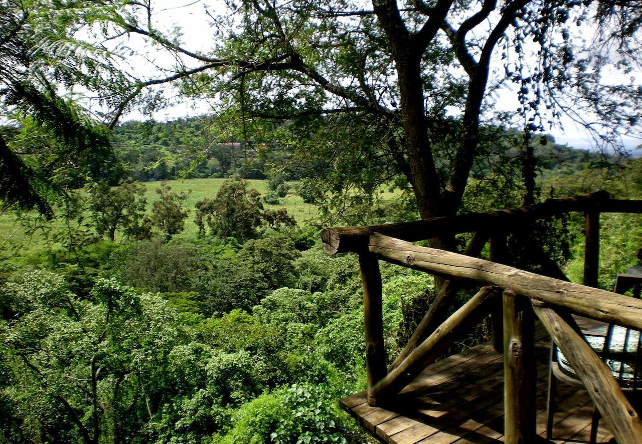 Kigongoni Lodge Arusha Nkoanrua Zewnętrze zdjęcie