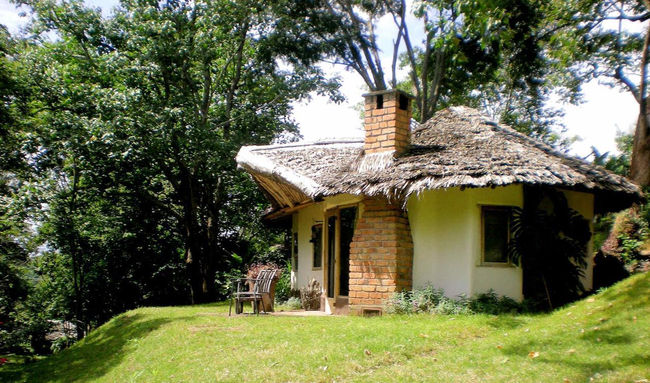 Kigongoni Lodge Arusha Nkoanrua Pokój zdjęcie