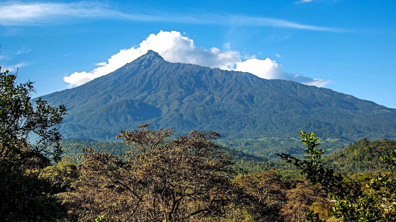 Kigongoni Lodge Arusha Nkoanrua Zewnętrze zdjęcie