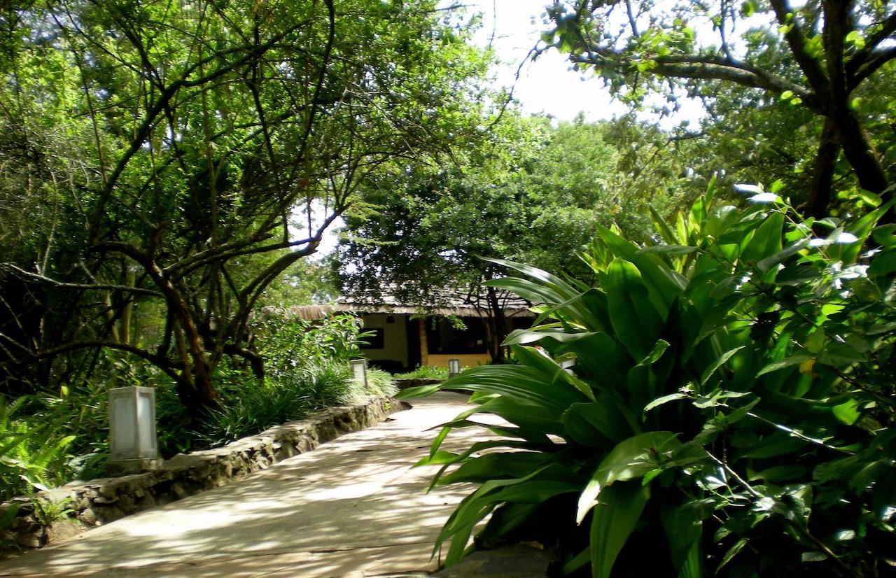 Kigongoni Lodge Arusha Nkoanrua Zewnętrze zdjęcie